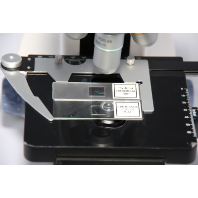 Микроскоп тринокулярный Fusion FS-7630 MICROmed