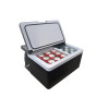 Автохолодильник компрессорный Alpicool АRC22 (22л., -18...+8 С, 12/24 / 220V)