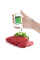 Нитрат-тестер ANMEZ Greentest 2 + рыба  (66 продуктов, 30...10000 мг/кг)