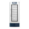 Холодильник фармацевтический Haier HYC-610 (+2...+8 °C, 610л)