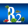 Витамин B2 (рибофлавин)